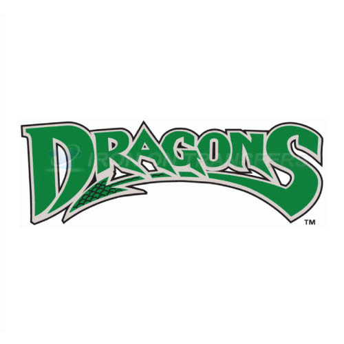 Dayton Dragons Iron-on Stickers (Heat Transfers)NO.8098